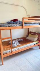 Blk 518 Elias Parks Estate (Pasir Ris), HDB 5 Rooms #485884971